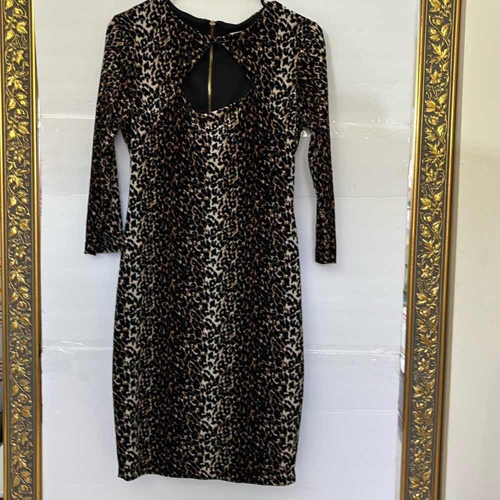 Cache’ women’s dress. Boutique